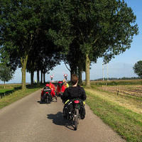 bdm-20071006-544.jpg