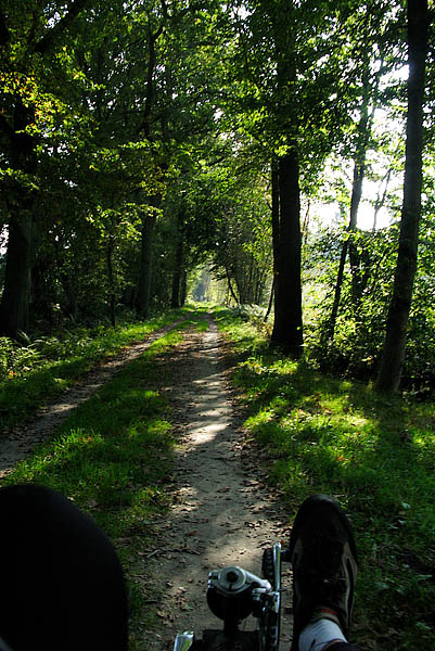 bdm-20071007-007.jpg