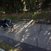 bdm-20080323-0318.jpg