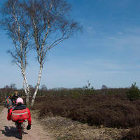 bdm-20080323-0399.jpg