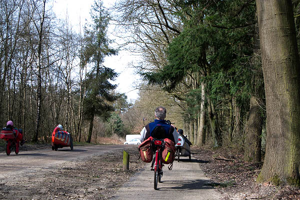bdm-20080323-0408.jpg