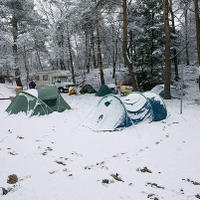 bdm-20080324-0002.jpg