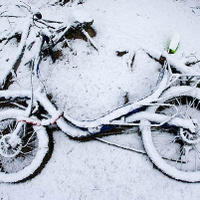 bdm-20080324-0015.jpg