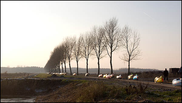 bdm-20081228-0177.jpg