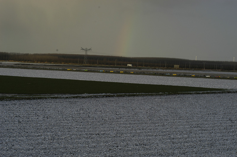 DSC_0260.jpg