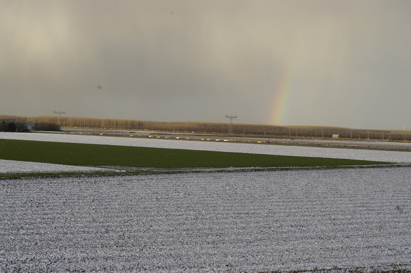 DSC_0266.jpg