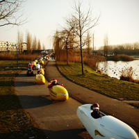 bdm-20081228-0179