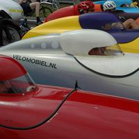 wimDSC_2398