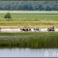 bdm-20110626-0401.jpg