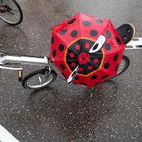 bdm-20120624-1060.jpg