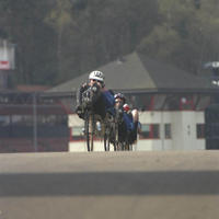 IMG0152.jpg