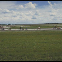 IMG0059_PCD.jpg