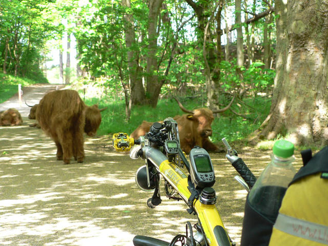 Cycle Vision 2006 006.jpg