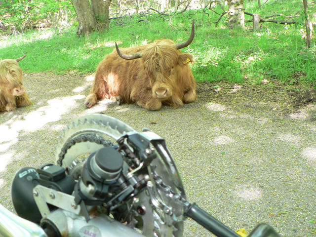 Cycle Vision 2006 008.jpg