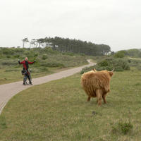 Cycle Vision 2006 027.jpg