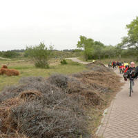 Cycle Vision 2006 020.jpg